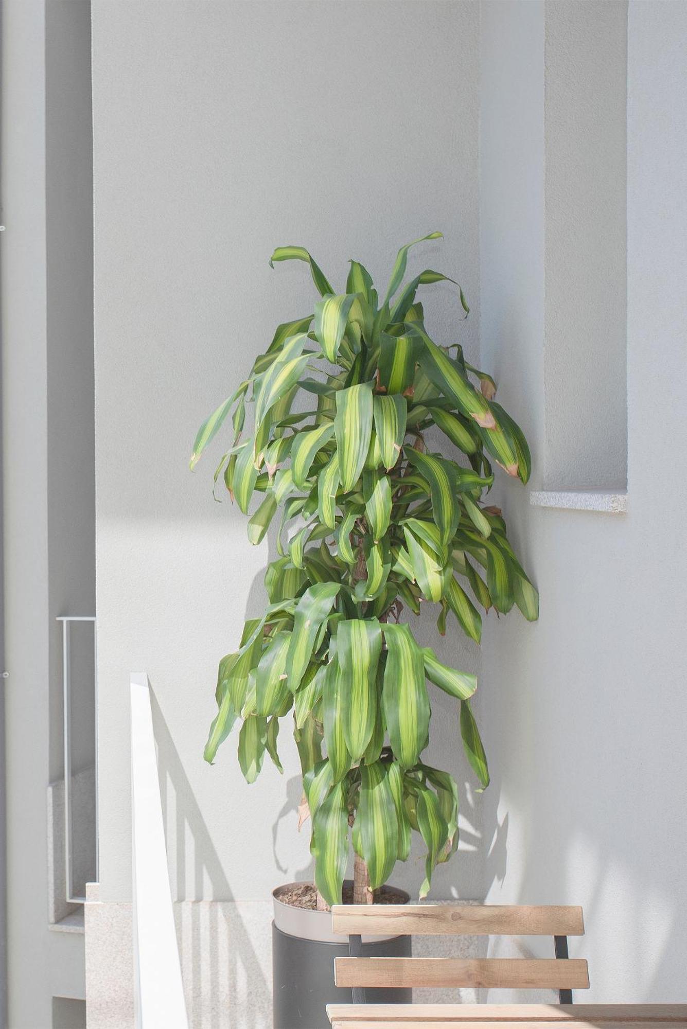 Liiiving In Porto - Art Design Apartment エクステリア 写真